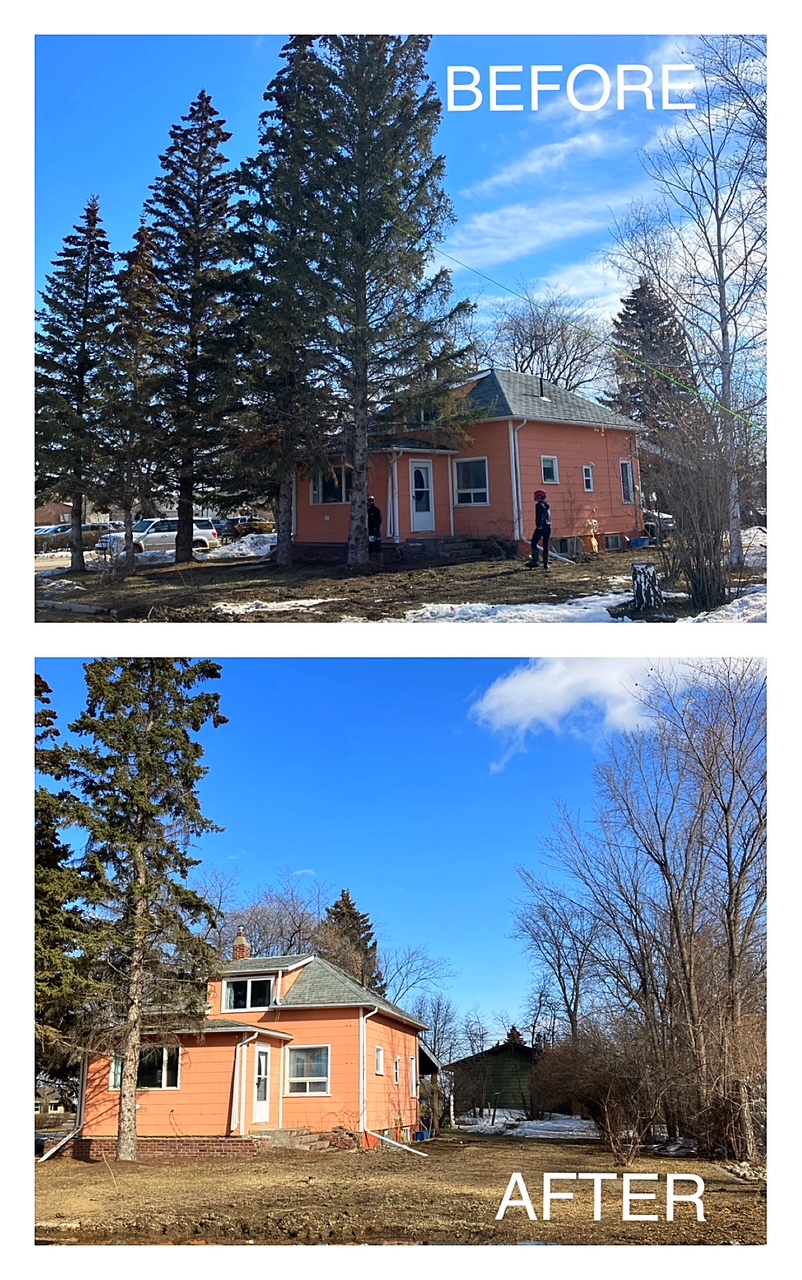 Before and after of a tree removal job by J D Weber Tree Service