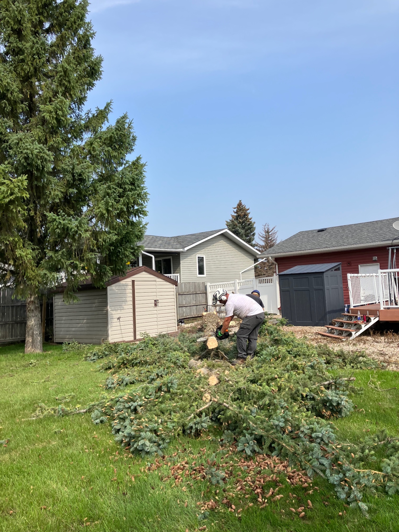 Full Site Cleanup